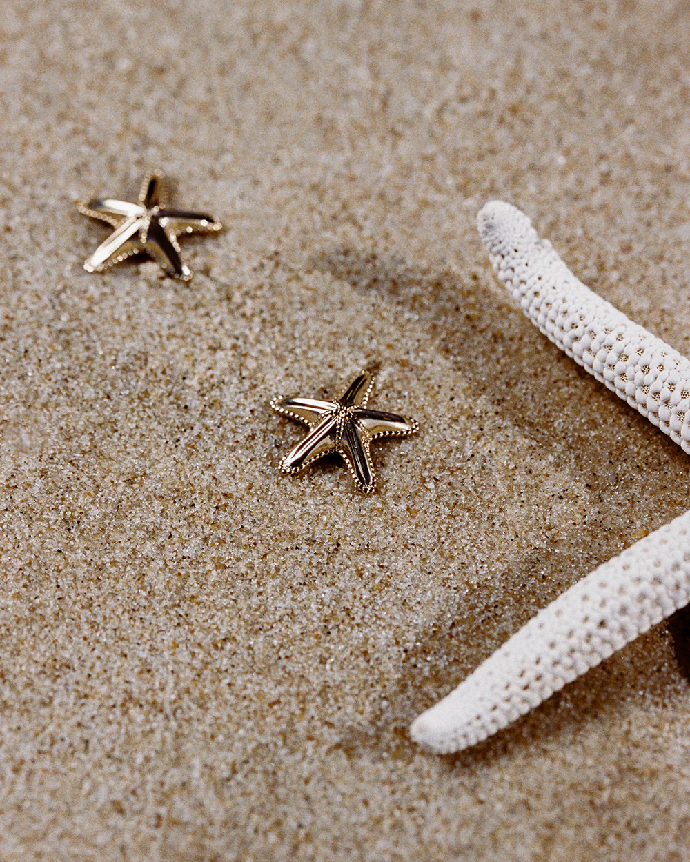 Soleil Starfish Earrings - Image 4
