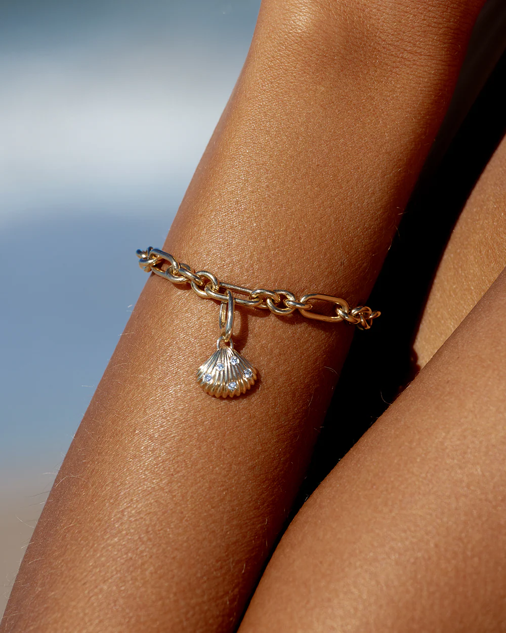 Venus Shell Attachment - Image 3